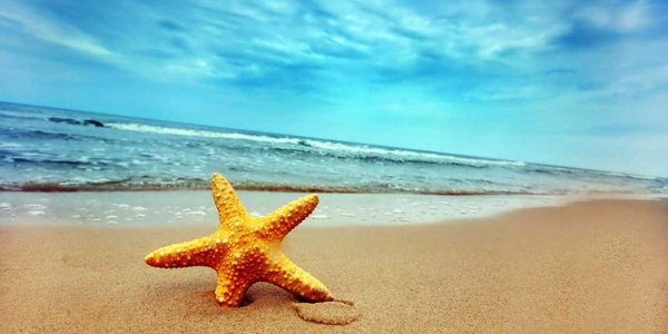 vacances-ete-Savoir Psy