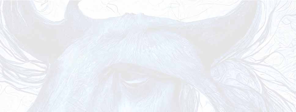 archétype ombre Jung
